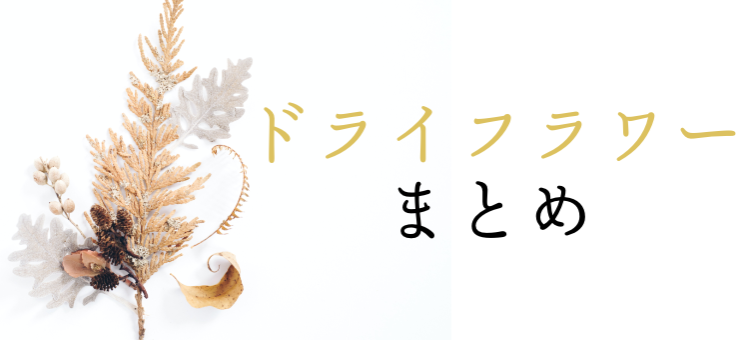 美しいドライフラワー!